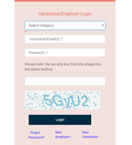 UGC Academic Job Portal login form