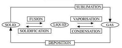 diagram class 9 science chapter 1 answer