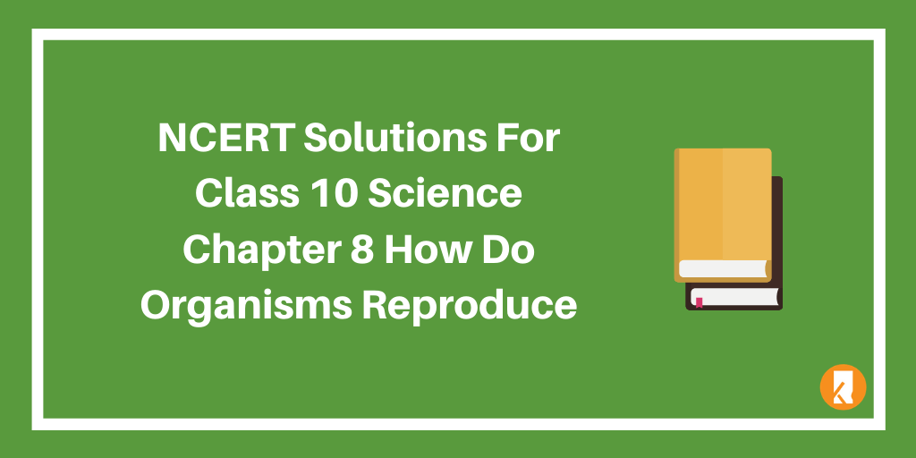 NCERT Solutions For Class 10 Science Chapter 8 How Do Organisms Reproduce