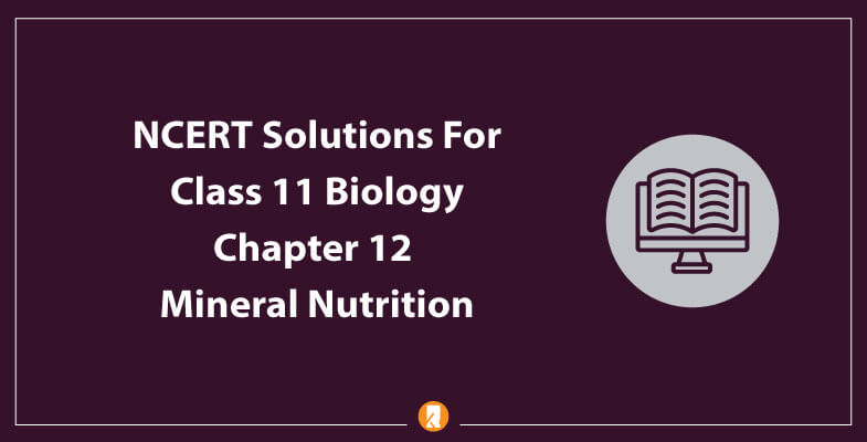 NCERT-Solutions-For-Class-11-Biology-Chapter-12-Mineral-Nutrition