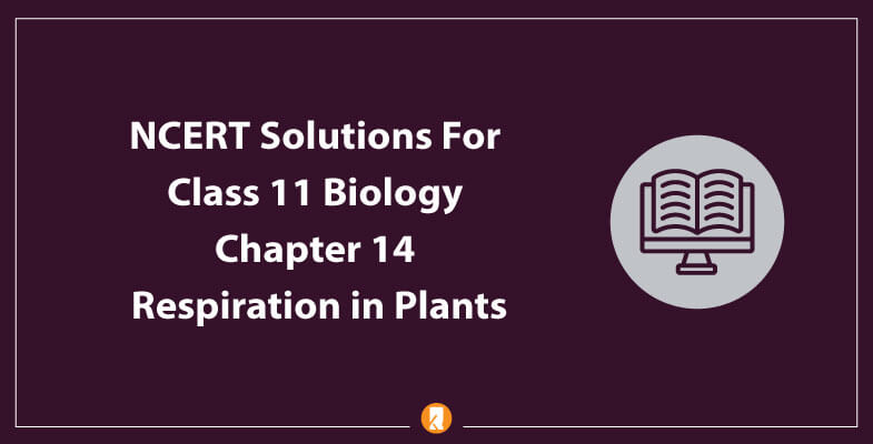 NCERT-Solutions-For-Class-11-Biology-Chapter-14-Respiration-in-Plants