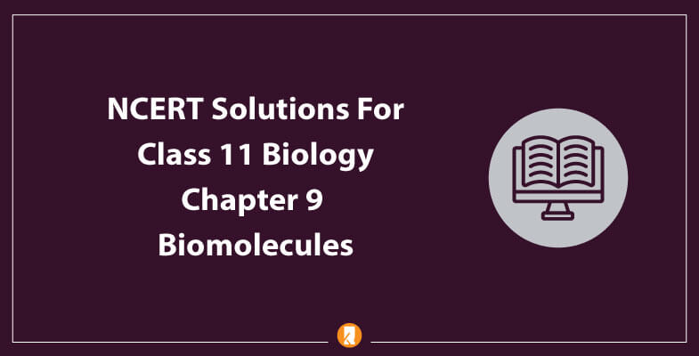 NCERT-Solutions-For-Class-11-Biology-Chapter-9-Biomolecules