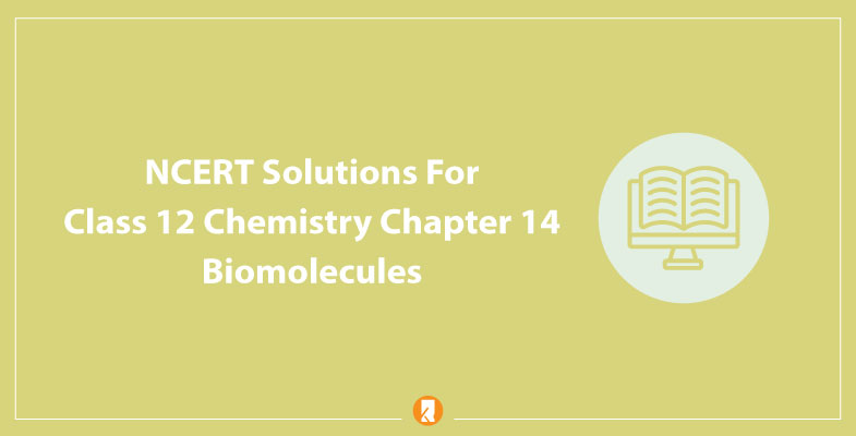 NCERT Solutions For Class 12 Chemistry Chapter 14 Biomolecules